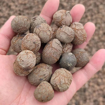 水栽培 LECAは,ガーデニング用の軽量茶色のボールを作りました